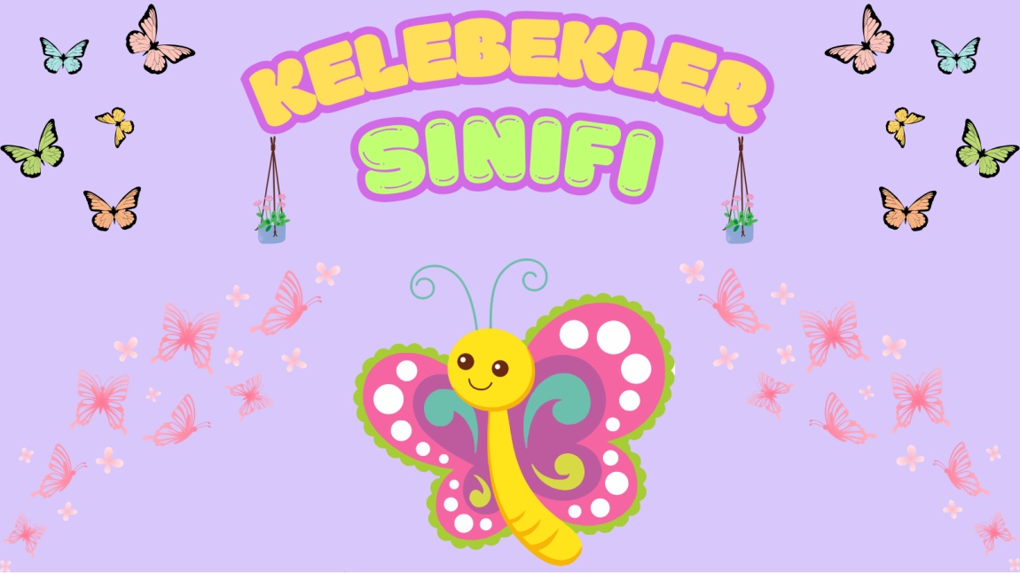 Mavi Rengi Öğreniyoruz